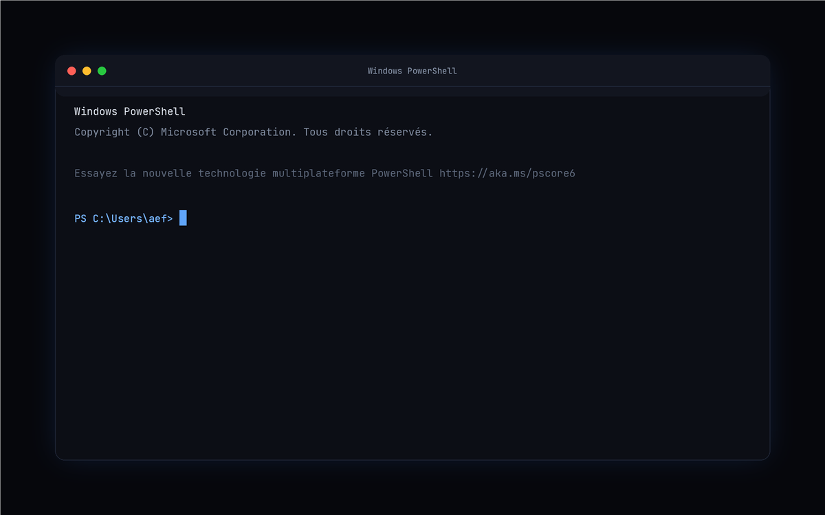 Terminal ouvert